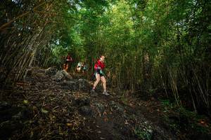 BIB: 
                            <button type="button" onclick="openModal(25102246)" class="btn btn-primary btn-sm float-right btn-popup" data-toggle="modal" data-target=".modal-high-quality">
                        <i class="fas fa-shopping-cart"></i> Add to Cart
                    </button>
                                            <button type="button" onclick="isThisMe(25102246, true)" class="btn btn-success btn-sm float-right btn-popup btn-isme hidden" data-toggle="tooltip" data-placement="bottom" title="นี่คือรูปของคุณใช่ไหม คลิกที่นี่เพื่อเอาเข้าอัลบั้ม">
                        <i class="fas fa-plus"></i> Add to album
                    </button>
                    <button type="button" onclick="isThisMe(25102246, false)" class="btn btn-warning btn-sm float-right btn-popup btn-isnotme hidden">
                        <i class="fas fa-ban"></i> Remove from album
                    </button>